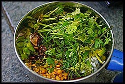 kothamalli-podicoriander-leaves-powder.72686.jpg