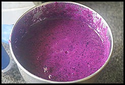 jamun-juicesummer-coolers-recipe.71895.jpg