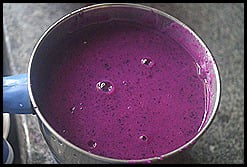 jamun-juicesummer-coolers-recipe.71897.jpg
