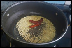 kothamalli-thogayalcoriander-leaves-thogayal.71616.jpg